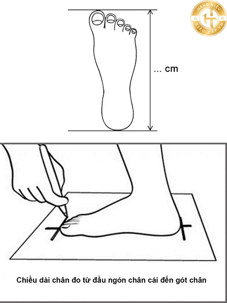 Chân 23cm đi giày Size bao nhiêu và bí quyết chọn Size giày đỉnh cao 2025 Đo chân của bạn : Sử dụng một bảng đo chân hoặc một dụng cụ đo để xác định độ dài chân của bạn. Đo từ phần gót chân đến ngón chân dài nhất ( Thường là ngón cái hoặc ngón trỏ ).