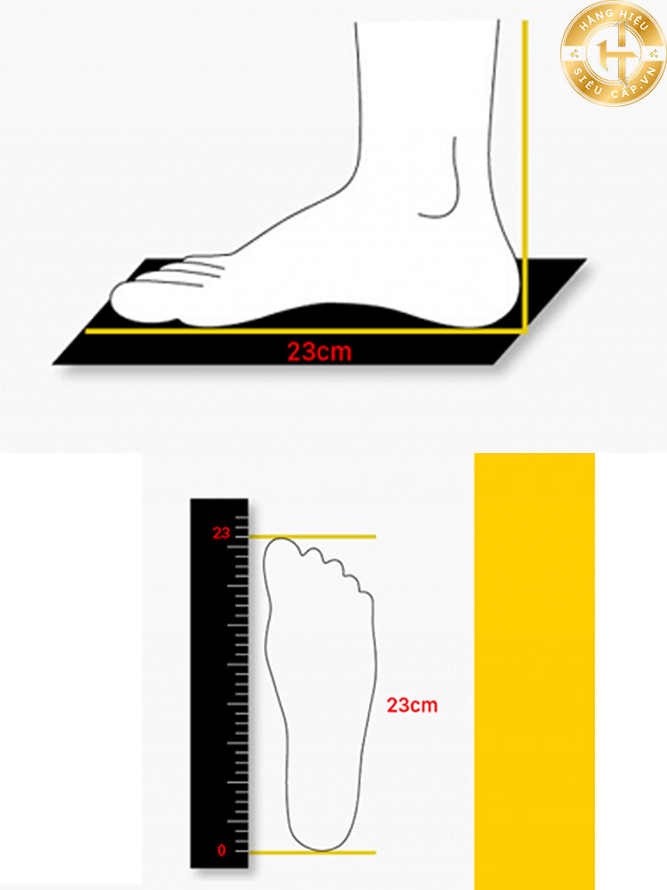 Chân 23cm đi giày Size bao nhiêu và bí quyết chọn Size giày đỉnh cao 2025 chân dài khoảng 23cm tương đương với kích cỡ giày từ 36 đến 37 ( EU ), 3.5 đến 4 ( UK ), hoặc 5.5 đến 6 ( US ) cho giày nữ. Đối với giày nam kích cỡ có thể tương đương từ 34 đến 35 ( EU ), 2.5 đến 3 ( UK ), hoặc 4.5 đến 5 ( US ).