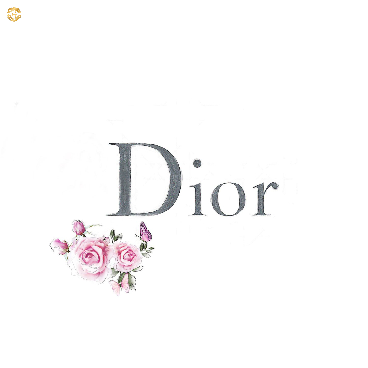 Học lỏm cách mở khoá túi Dior cực đơn giản cho từng loại 2025 Đôi nét về thương hiệu tui Dior