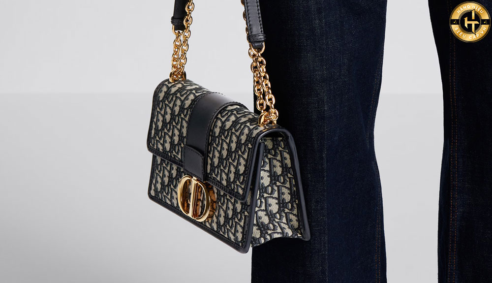 Túi xách Dior 30 Montaigne Bag