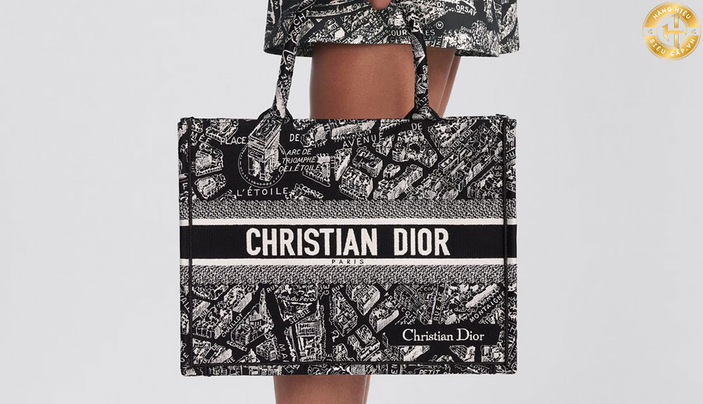 Túi xách Dior Book Tote Bag