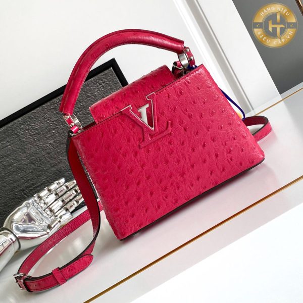 tui xach hang hieu louis vuitton (1)