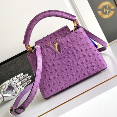 tui xach hang hieu louis vuitton (1)