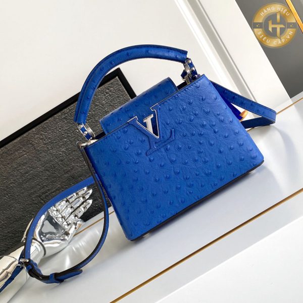 tui xach hang hieu louis vuitton (1)