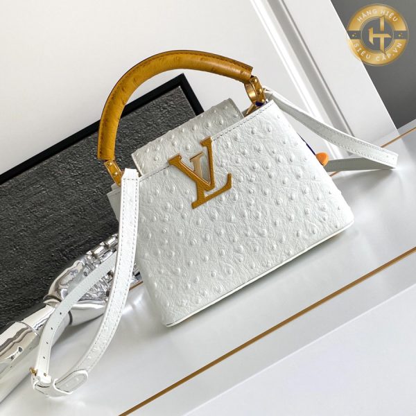 tui xach hang hieu louis vuitton (1)