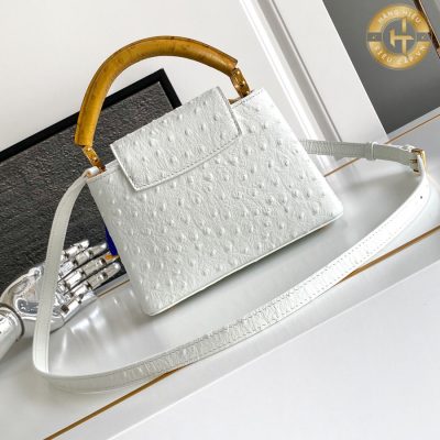 tui xach hang hieu louis vuitton (3)