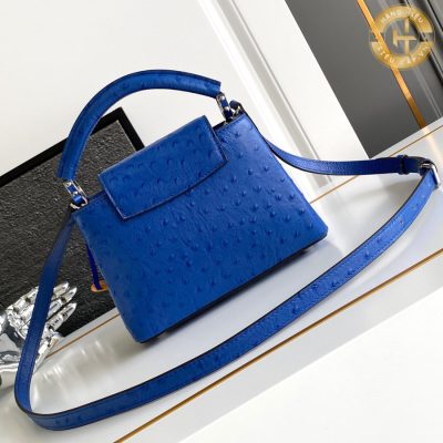 tui xach hang hieu louis vuitton (6)