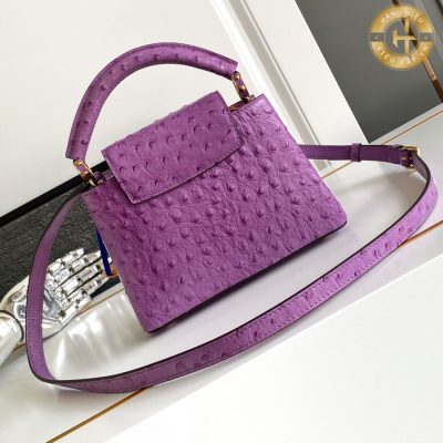 tui xach hang hieu louis vuitton (9)