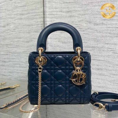 tui lady dior (1)