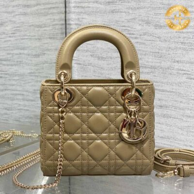 tui lady dior rep 11 (1)
